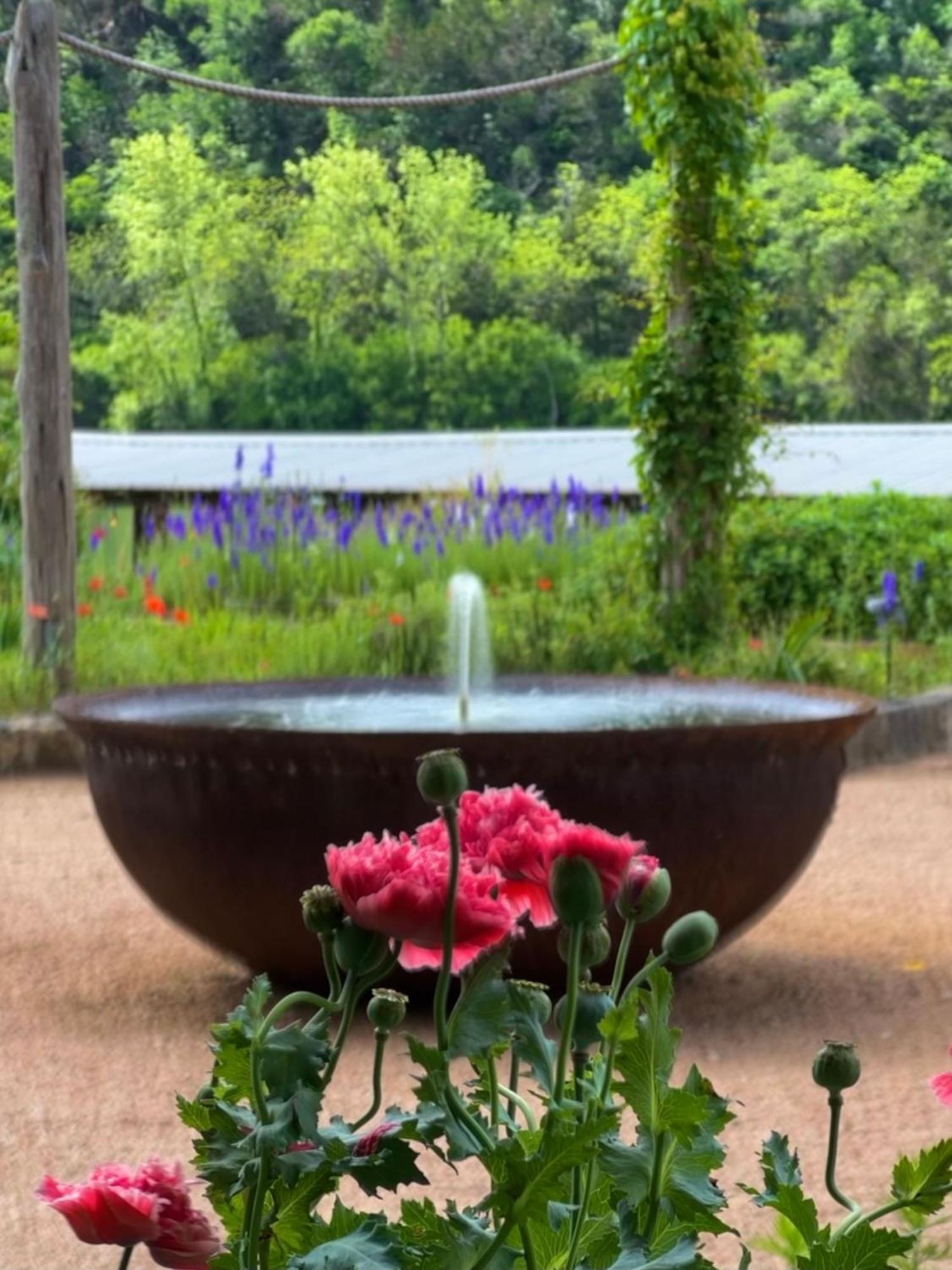 Lake Austin Spa Resort ภายนอก รูปภาพ