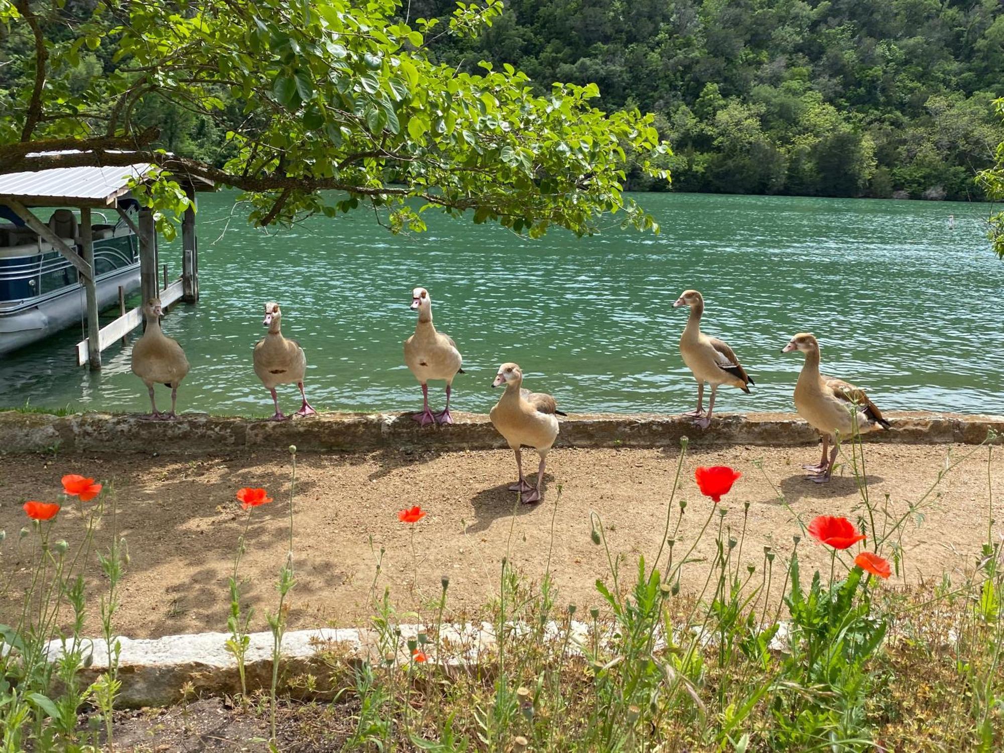 Lake Austin Spa Resort ภายนอก รูปภาพ